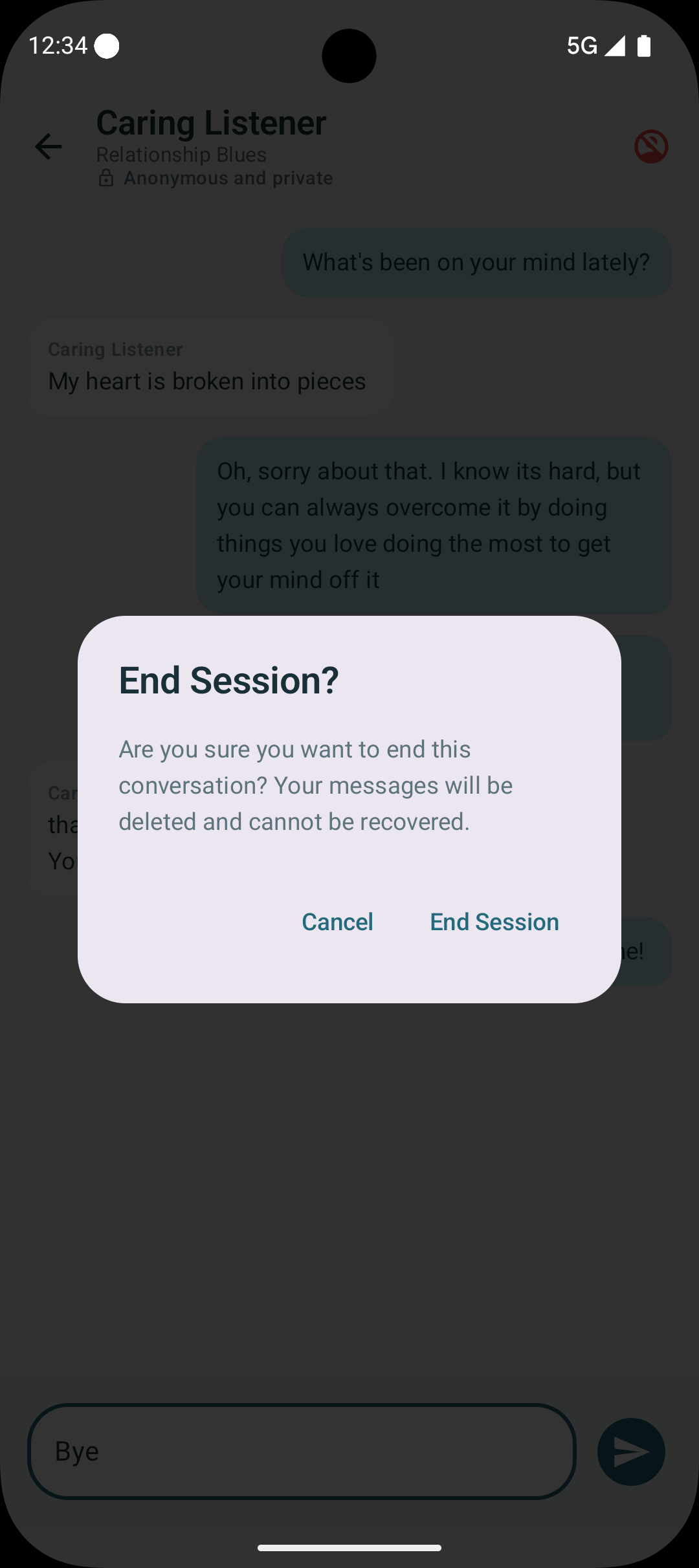 SafeHaven active chat screenshot