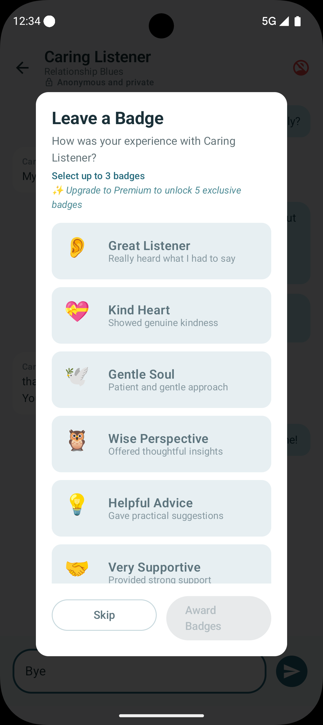 SafeHaven end session confirmation screenshot